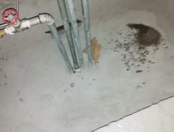 中卫卫生间测漏水价格明细